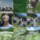 그날, 꽃피는 청춘 | 쉬었음 청년이 아닌 씨였음 청년! 취준생 청춘들을 응원하는 하이원 캠페인 │ 씨였음캠페인