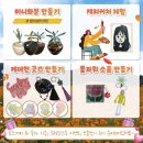 꽃 음악회 이미지