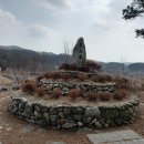 수풍숲 이미지