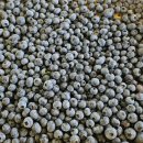 현주농장 2 이미지