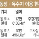 노른자위 이미지