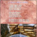 통성 기도 연주 음악 / 12. 나 주님의 기쁨되기 원하네 이미지