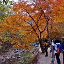 신 전북 공업사 | 순창 강천산[주차장~구장군폭포~주차장]
