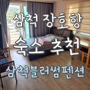 삼척 장호항 근처 펜션 추천 블러썸펜션 내돈내산 장단점 솔직후기