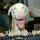 업사이드커피 - 강남구 도산대로38길 20 | 업사이드커피