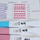마마스마일 | 시험관 1차 난자이식 동결 3일배양 울산 마마파파 시술 후기