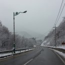 웅이식당 이미지