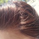 기분좋은날 | ​[탕정염색맛집]기분좋은날헤어에서 새치 고민 해결하고 인생 컬러 찾았어요!💇‍♀️