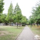 경기도 수원시 영통구 매탄로 이미지