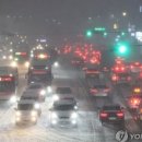 그린푸드 이미지