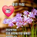 토요일, 일요일 이미지