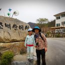 천동캠핑장(하) 이미지