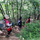 내곡동469 이미지