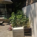 투데이오브베이킹 | 석촌역 [투데이오브베이킹] 가나슈 쿠키 원데이 클래스 후기