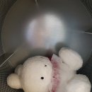 동해세탁소 - 태백시 황지로 293-1 | 동해세탁소