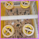 수원-0238 이미지