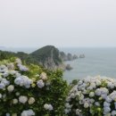 통영세관 옆 이미지