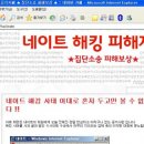 네이트 이미지