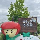 대도농장 | 여주 동물농장 주주팜 동물교감체험 6살 3살 체험 후기
