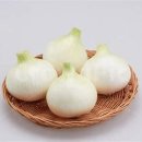 양파 티스토리