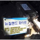 산토끼노래동산 이미지