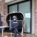 황금밥집 이미지