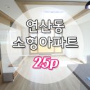 성우 로하스 캐슬 이미지