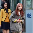 최유정 카카오 검색결과