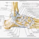 예감당한의원 이미지