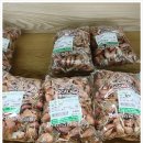 대동농협하나로마트 이미지