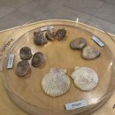 어촌민속박물관 이미지