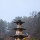 장암 장하리사지 | 부여 가볼만한곳 부여 장하리 삼층석탑