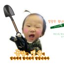 고기파마 이미지