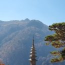 청량산오시오숯불식육식당 이미지