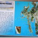 솔숲과 바다 이미지