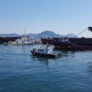 부산영도경찰서 이미지