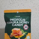 캔디 | 프로폴리스 마누카꿀 캔디 체험 후기 _ 목캔디