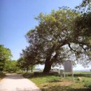 함평향교초등학교 이미지