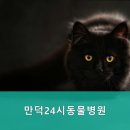 만덕24시동물병원 이미지