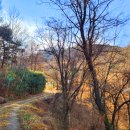 태자농장 이미지