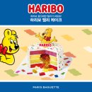 파리바게뜨 복대점 | [청주] 파리바게뜨 하리보 젤리 케이크 크리스마스 케이크 추천