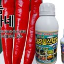 한국농약씨앗 이미지