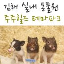 유영유치원 | 김해 실내 동물원 주주 힐즈 테마파크 좋네요