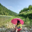하계1 Daum카페