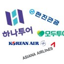 모아관광여행사 이미지