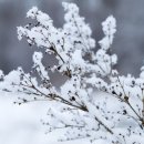 참조은산부인과 이미지