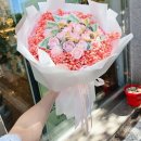 주니캔들관설 이미지