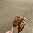 SLOW팬션 이미지