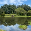 온평리-7 이미지