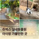 청수환경(주) | 인천실내동물원 쥬벅스ㅣ아기와함께 인천 서창 갈만한곳 특별한체험 솔직후기